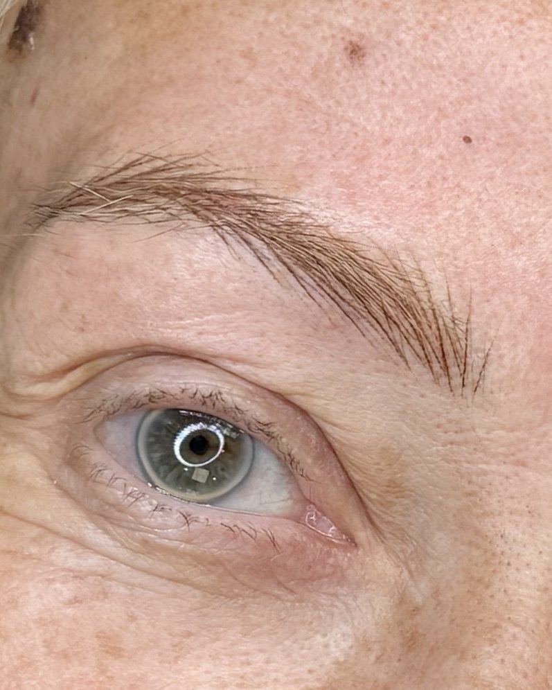 Macro of a hair-stroke brow with individual strokes visible