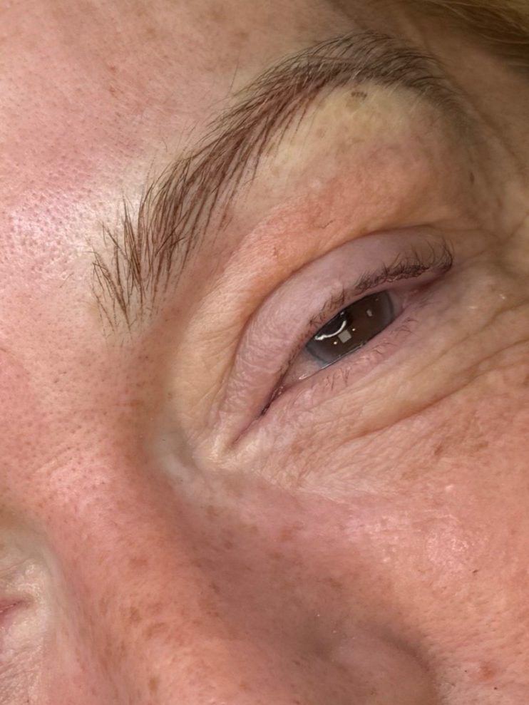 Macro of a hair-stroke brow above the eye