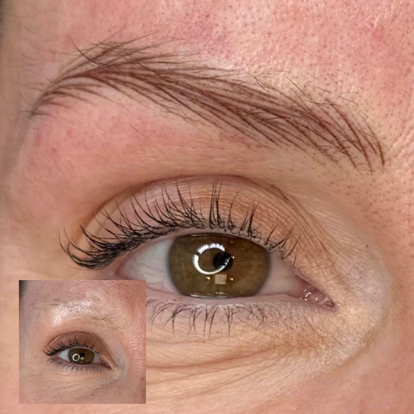 Extreme close-up of individual hair strokes in a brow, with the original brow shown in an inset